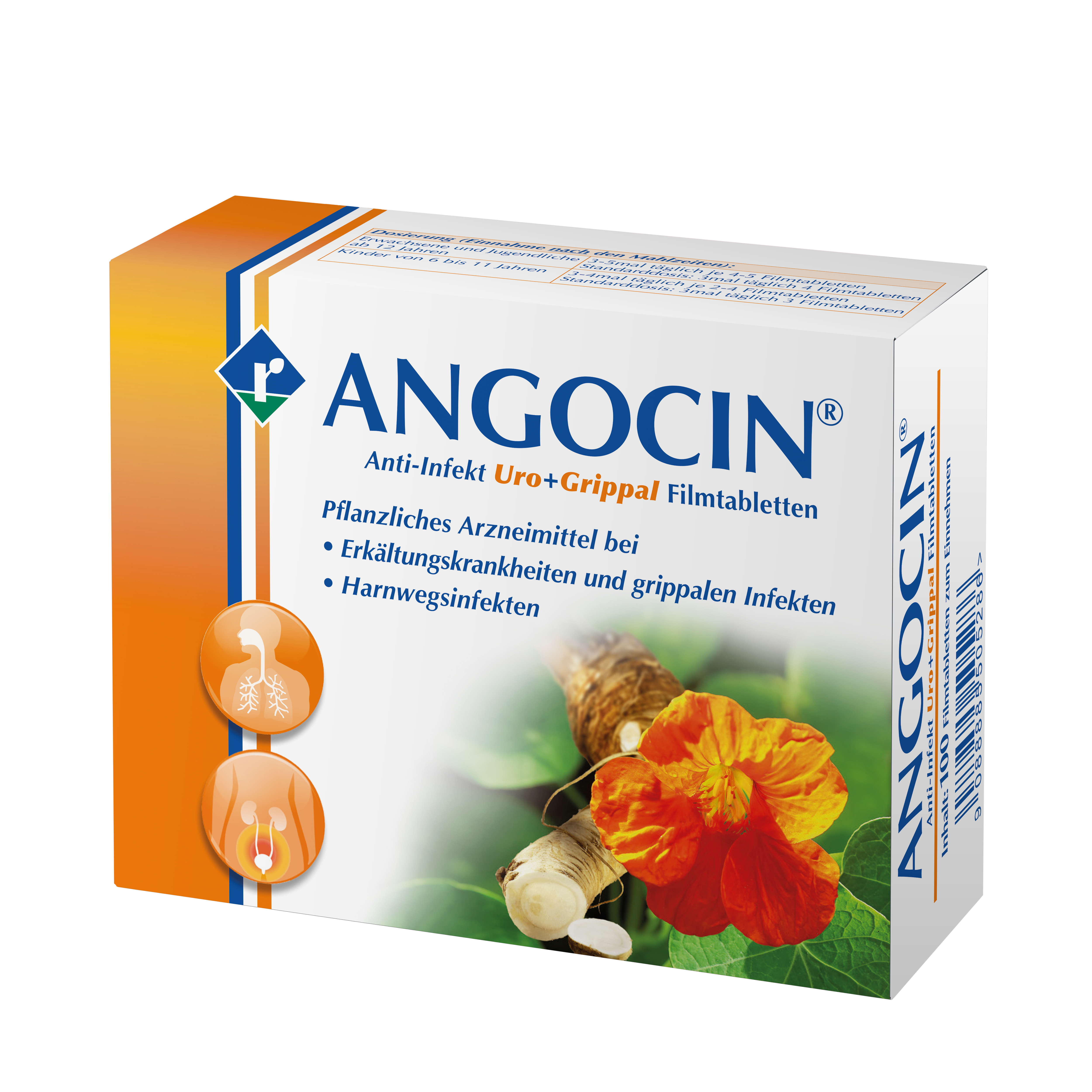 ANGOCIN® Anti-Infekt Uro+Grippal